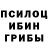 Галлюциногенные грибы ЛСД Zinaida Iusupova