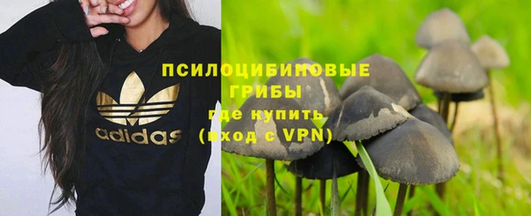 прущая мука Армянск