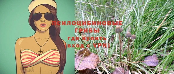 не бодяженный Алзамай