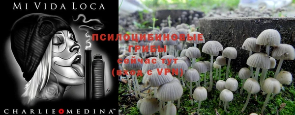 прущая мука Алексин