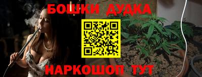 твердый Бердск