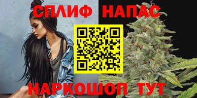 твердый Бердск