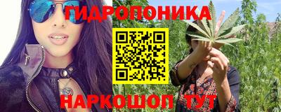 твердый Бердск
