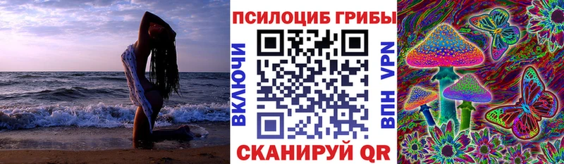 Галлюциногенные грибы мухоморы  блэк спрут ССЫЛКА  Курган 