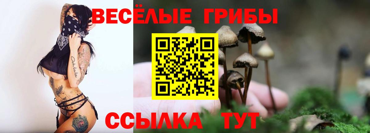 Псилоцибиновые грибы GOLDEN TEACHER  Вход с VPN  Курган  Галлюциногенные грибы ЛСД 